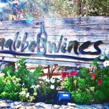 Sunny Day at Malibu Wines
